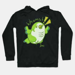 Whomst quaker parrot Hoodie